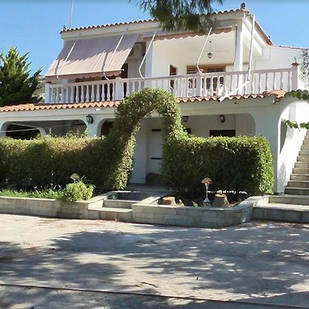 Paralia Demonias Το Κτήμα Της Ελιάς Του Τάκη 게스트하우스 외부 사진