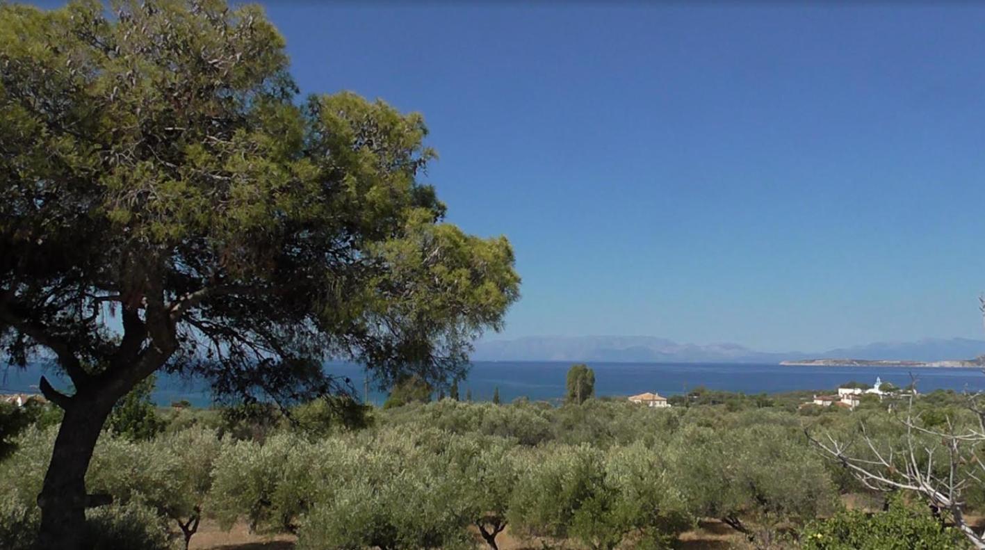 Paralia Demonias Το Κτήμα Της Ελιάς Του Τάκη 게스트하우스 외부 사진